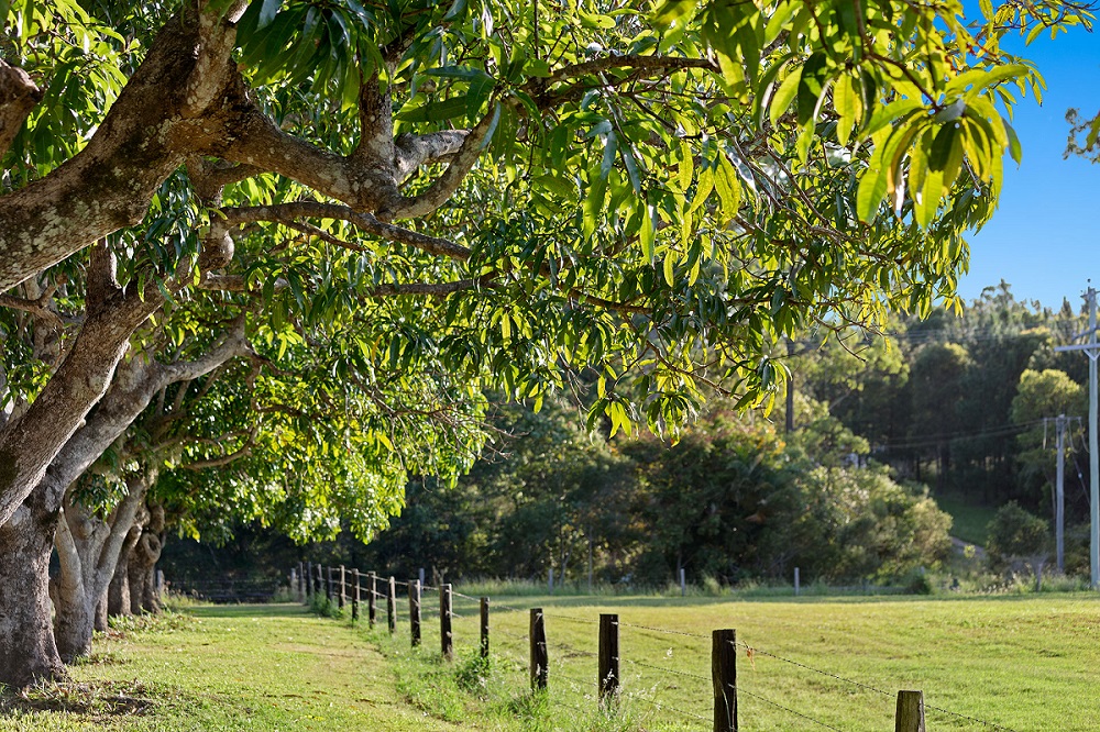 [Land for Sale] Central Acres Estate, Tinana OpenLot